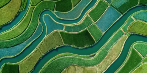 Fototapeten Reisfelder Aerial View of Lush Green Rice Terraces and Winding Rivers in a Vibrant Agricultural Landscape.  © ahmad