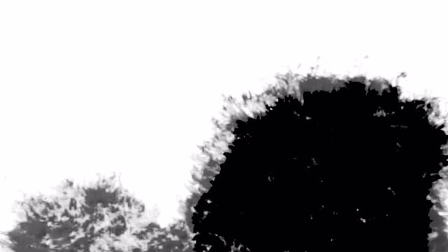 Abstract Black Ink Splatter on White Background for Artistic and Creative Projects.