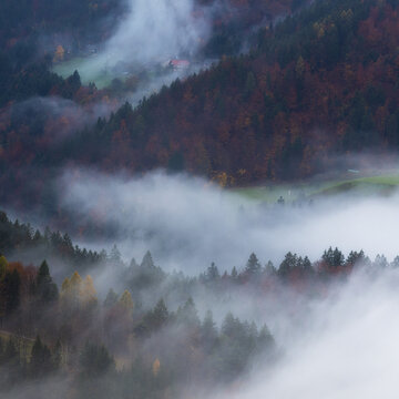 Aerial view of soft, billowing clouds rolling through a valley, blanketing the autumn-toned forests and shrouding the distant fields in a mystical haze, Spodnja Lua, kofja Loka, Slovenia.