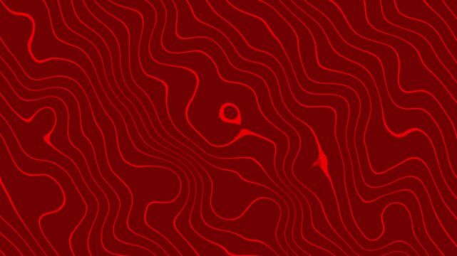 4K Dark Red Maroon Abstract Background with Crisp Red Topographic Contour Motion Lines. Premium Luxury Wavy Fluid Animation for Cinematic Content and Bold Minimalist Design