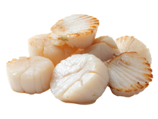 Delightful close-up of seared scallops, a gourmet food item Isolated Transparent Background, PNG
