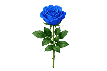 Obraz premium Blue rose featuring vibrant petals and green stem