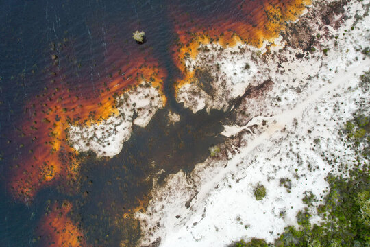 Aerial view of the shoreline's dark waters meeting light sands, creating a striking contrast, Lake Boomanjin, K'Gari Fraser Island, Queensland, Australia.