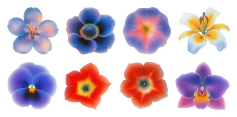 Obraz premium PNG Vibrant floral gradient collection, transparent background
