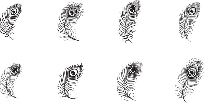 Peacock feather logo design, Hand drawn Peacock feather set. silhouette vector icon illustration with white background.