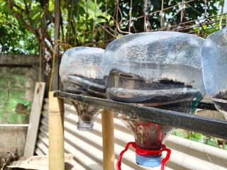 plant pots made from used bottles