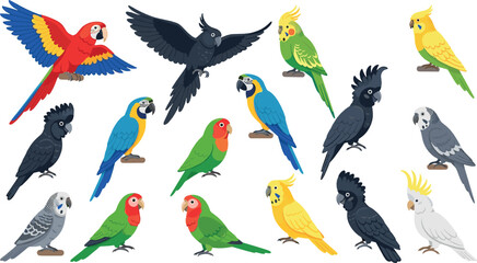 Colorful parrot and tropical bird illustration set with flying and standing poses, exotic wildlife species, nature animals, and detailed flat vector design © Mstferdoshi
