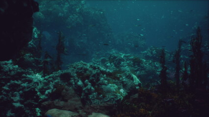 Fototapeta premium Beneath the waves, a stunning underwater scene unfolds with colorful corals, swaying plants, and playful fish exploring their tranquil home during the afternoon light.