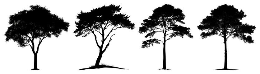 Fototapeta premium PNG Silhouetted trees artistic collection, element set on transparent background