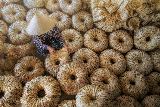 Aerial view of a woman wearing a traditional conical hat carefully arranging and preparing the natural fiber coils, Phan Ri Cua, Vietnam.