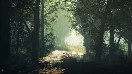 Obraz premium A serene forest scene unfolds as sunlight pours through the dense trees, illuminating a trail beside a gentle stream. The morning air feels fresh and inviting, perfect for exploration.