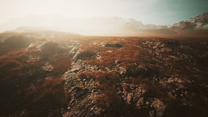 The scene showcases rugged rocks and sprawling grasses illuminated by the gentle light of early morning. Mist softly shrouds the distant mountains, creating a serene atmosphere.