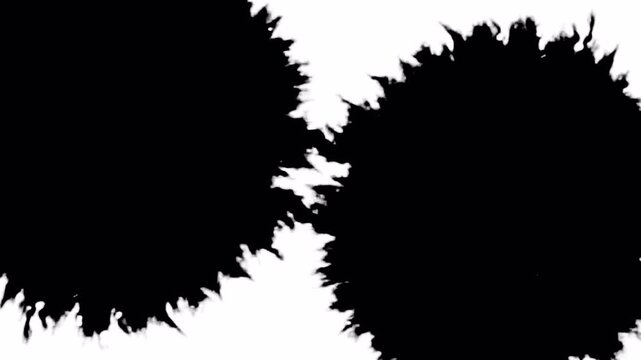 Abstract Black Ink Splatters on White Background Dynamic Motion.
