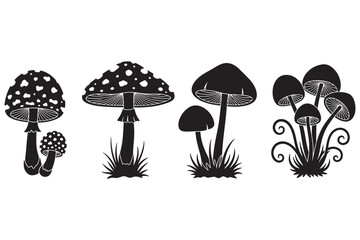 A black and white illustration of various mushroom species in a grassy field