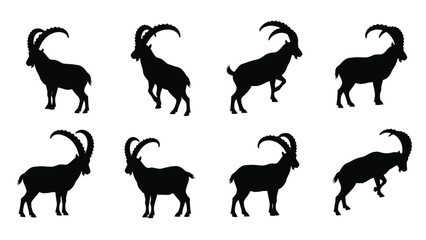 Multiple ibex silhouettes in various poses a striking graphic silhouette © RASHIDA