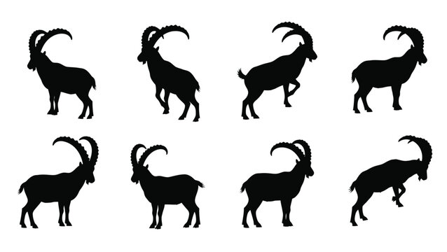 Multiple ibex silhouettes in various poses a striking graphic silhouette