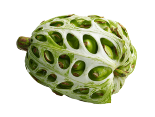 A close-up shot of a unique, intricately textured fruit with a distinctive appearance. Its green and white patterns create a visually striking image Isolated Transparent Background, PNG