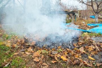 Smoke in the garden. Burning autumn leaves