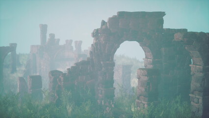 Ancient stone ruins rise from thick fog in a tranquil, overgrown setting. Nature slowly reclaims this forgotten place, creating a mystical atmosphere that invites exploration.
