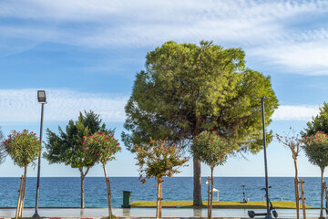 Seaside promenade with green trees and pines along the Mediterranean coast. Scenic walking path with sea view under a blue sky with cirrus clouds. Autumn day in Antalya, Turkey. October, sunny.