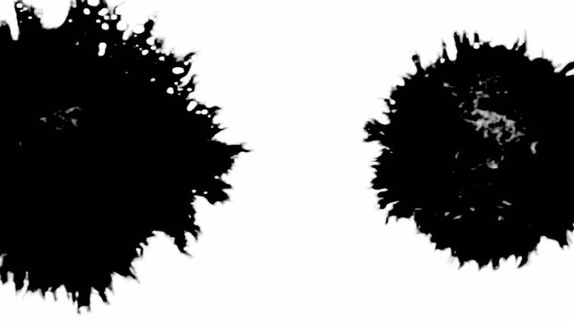 Abstract Black Ink Splatters on White Background.