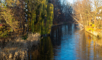 A river flows under a willow tree and a tree without leaves on the other bank in the evening © mikus