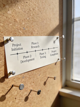 project timeline chart pinned to a cork board