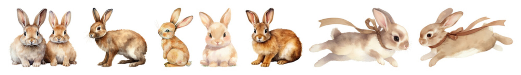 Obraz premium PNG Adorable watercolor rabbits illustration, transparent background