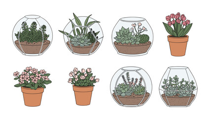 Fototapeta premium Collection of various indoor plants featuring geometric glass terrariums and traditional terracotta pots with flowering plants and succulents.