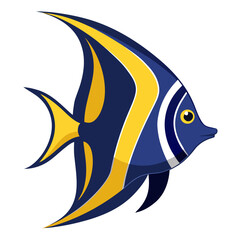 Colorful tropical fish