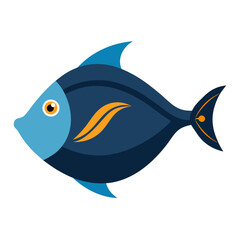 Colorful fish swimming