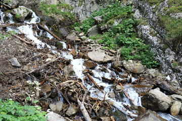 Water stream flowing over rocks and fallen tree branches on Teberda Nature Reserve