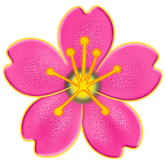 Fototapeta premium pink flower large size of emoji spring flower pink sakura flower element