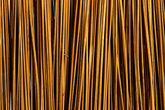 Background, texture of reed stems, dense thickets of reeds, natural reed hedge