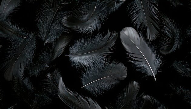 Dark Elegance - A Textured Tapestry of Black Feathers.