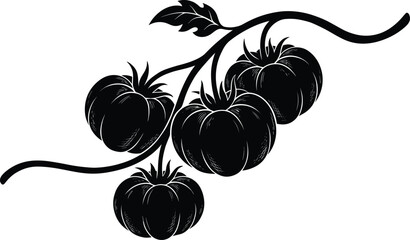 Black tomato vine silhouette illustration, four ripe tomatoes with leaves, minimalist organic vegetable icon for food branding design © MDSOBAHAN