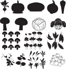 Vegetable Icons Set &ndash; Beetroot, Broccoli, Cabbage, Garlic & More