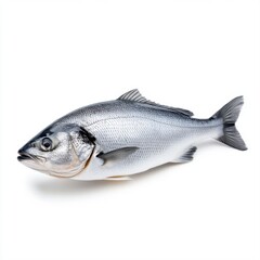 Obraz premium Fresh Whole Fish with Silver Scales and Detailed Texture on White Background