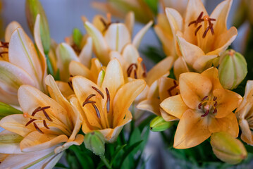 Vibrant orange lilies arranged elegantly in a glass vase on a sunny day in a cozy indoor setting