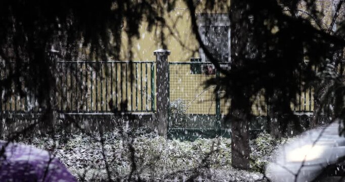 Falling snow in winter, trees and street