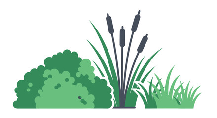 Simple illustration of wetland vegetation including cattails grasses and a rounded shrub © Saidul_Studio1984