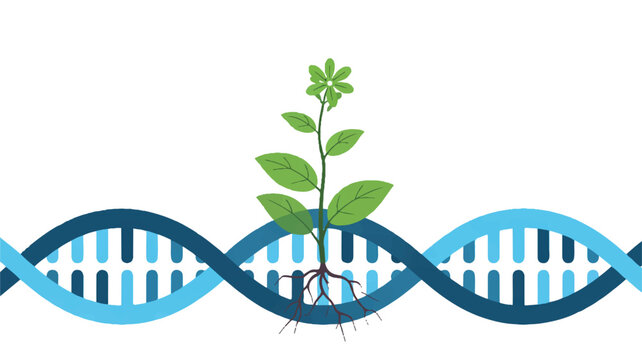 A minimalist digital illustration of a DNA strand with a growing plant emerging from its base (3)_traced