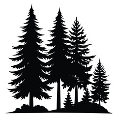 Obraz premium Silhouette pine trees stand clustered, creating an evergreen forest against a clear backdrop