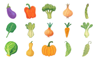 Fototapeta premium Colorful hand-drawn vegetable illustrations