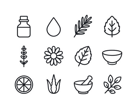Herbal Oils Icons. Herbal oils. Line icon set of Herbal oils: bottle, droplet, rosemary sprig, lavender, chamomile flower, mint leaf, lemon slice, aloe, bowl,