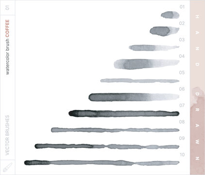 Vector Brushes. Coffee Watercolor Brush. 