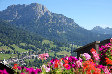 Fototapeta premium CLOSE UP: Colorful blossoming flowers obstruct the view of a rural village.