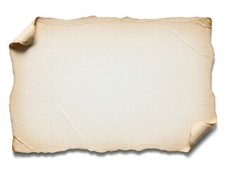 Blank vintage paper with tattered edges isolated on white background