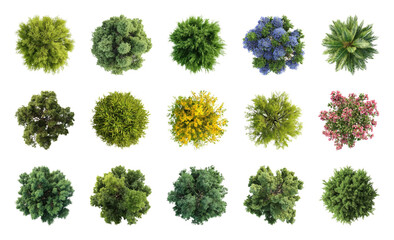 Obraz premium PNG Top view assorted green foliage on transparent background
