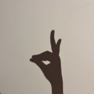 Hand shadow puppet shaped like a dog or wolf on neutral wall background